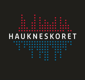 Haukneskoret